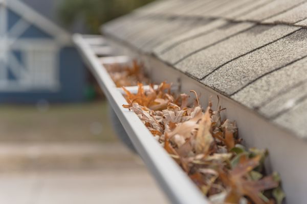Leaf Barrier Installation in Millsboro